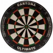 Dartscheibe Circle