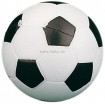 Kickerball Standard